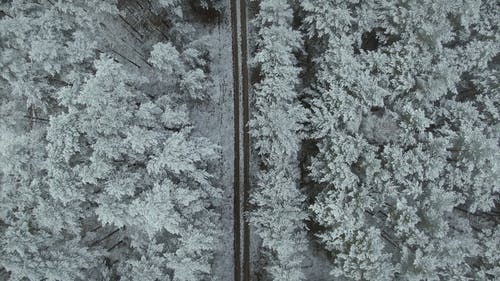 有关冬季景观, 户外, 白雪覆盖的地面的免费素材视频