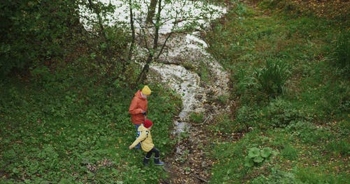 有关小河, 小男孩, 户外的免费素材视频