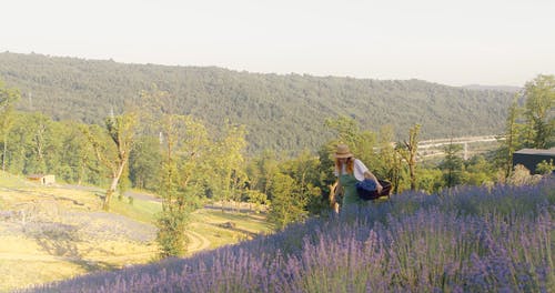 有关休闲, 嗜好, 女人的免费素材视频