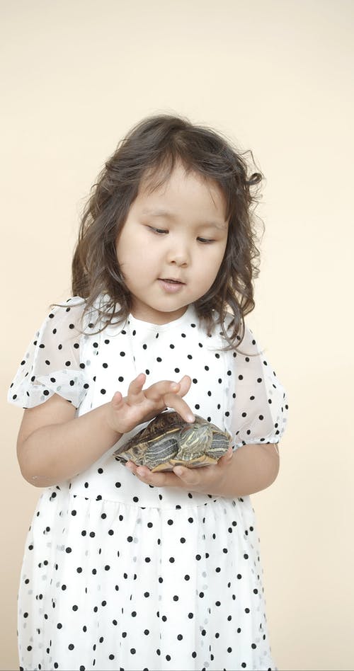 有关儿童, 动物, 可爱的免费素材视频