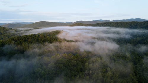 有关天性, 山, 森林的免费素材视频