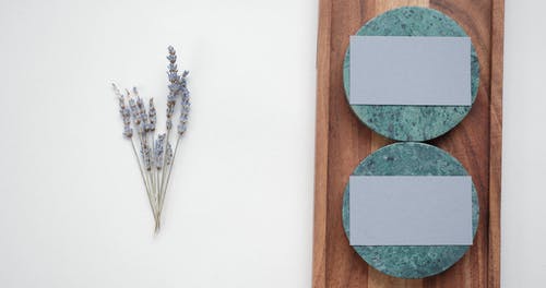 有关一束花, 圆盘, 圆形的免费素材视频