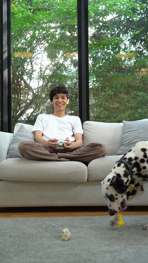 有关Throw Pillows, 人, 伴侣的免费素材视频