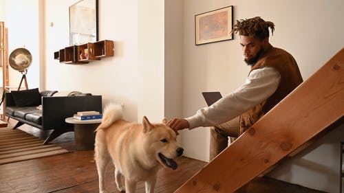 有关人, 内部, 客厅的免费素材视频