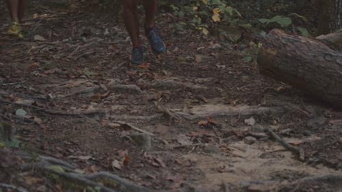 有关shooes, 健康的生活型态, 森林的免费素材视频