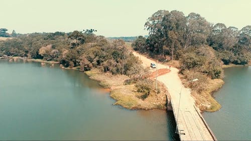 有关天性, 树木, 泥路的免费素材视频