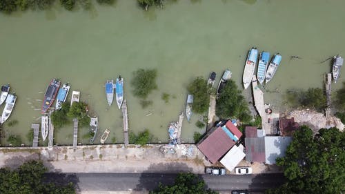 有关平移拍摄, 树木, 水的免费素材视频