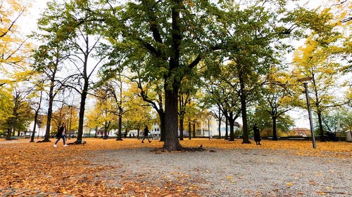 有关atmosfera de outono, 公园参观, 固定镜头的免费素材视频