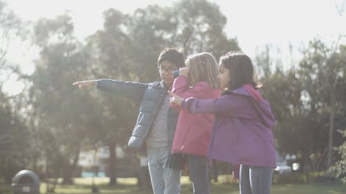 有关一起, 侧面图, 天性的免费素材视频