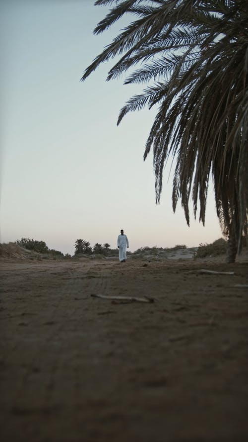 有关人, 传统, 地平线的免费素材视频