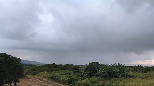 有关下雨, 多云的, 天性的免费素材视频