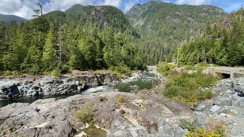 有关土地, 地形, 天性的免费素材视频