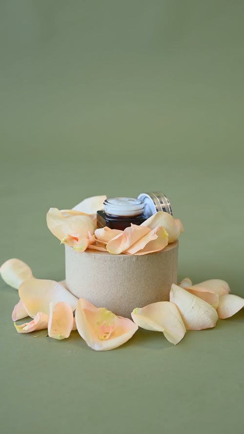 有关创意摄影, 向上丢, 垂直视频的免费素材视频