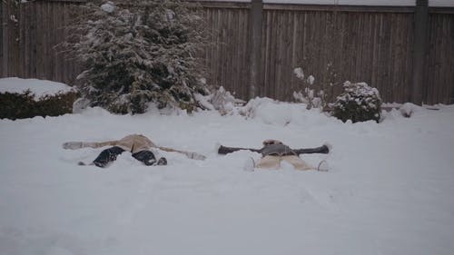 有关@户外, 一对, 下雪的免费素材视频