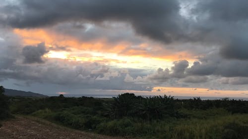 有关优美的风景, 农田, 剪影的免费素材视频