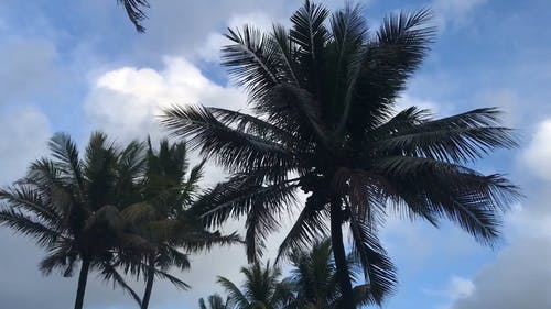 有关@户外, 和平的, 夏天的免费素材视频