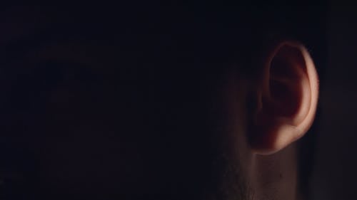 有关人, 家伙, 光的免费素材视频