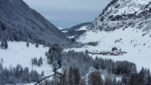 有关冬季, 冷, 大雪覆盖的免费素材视频