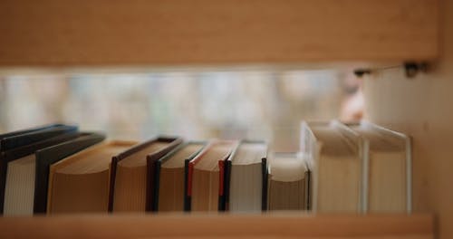 图书馆里的人 · 免费素材视频