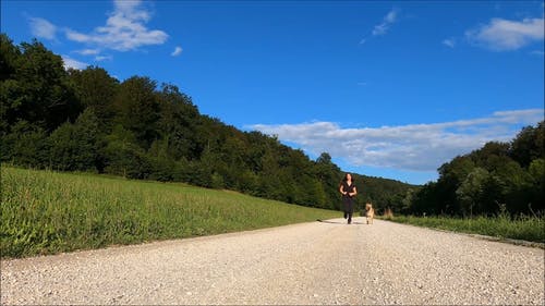 有关动物, 天性, 女人的免费素材视频