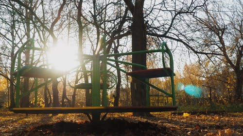 有关下落, 公园, 太阳眩光的免费素材视频