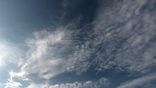 有关天性, 户外, 白天的免费素材视频