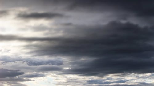 有关冷静, 和平的, 天性的免费素材视频