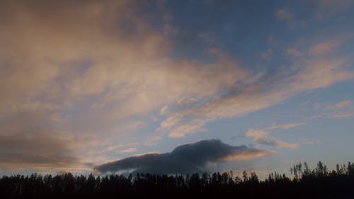有关低角度拍摄, 天性, 天空的免费素材视频