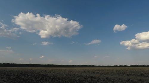有关和平的, 地平线, 天性的免费素材视频