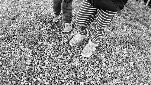 有关倒带, 公园, 孩子们玩的免费素材视频