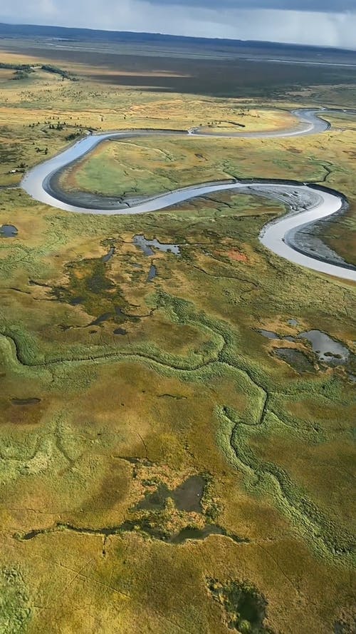 有关垂直视频, 天性, 户外的免费素材视频