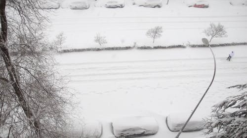 有关下雪, 冒险, 冬季的免费素材视频