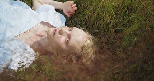 有关天性, 工厂, 从上面的免费素材视频