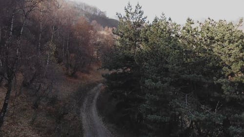 有关尘土, 天性, 小径的免费素材视频