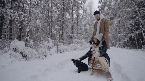有关一对, 下雪, 享受的免费素材视频