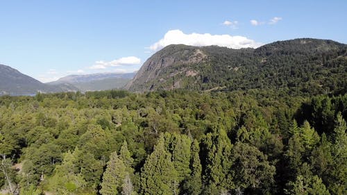 有关天性, 山脉, 巴塔哥尼亚的免费素材视频