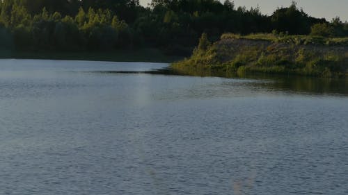 有关和平的, 天性, 安静的免费素材视频