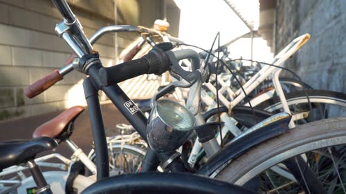 有关户外, 日光, 相机对焦的免费素材视频