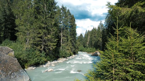 有关岩石, 松树, 林地的免费素材视频