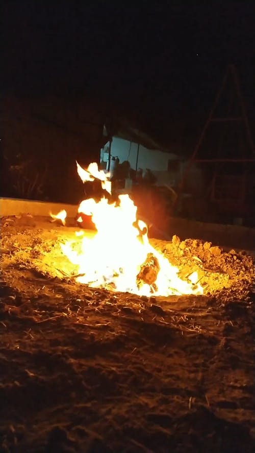 有关升火的木柴, 原本, 地面的免费素材视频