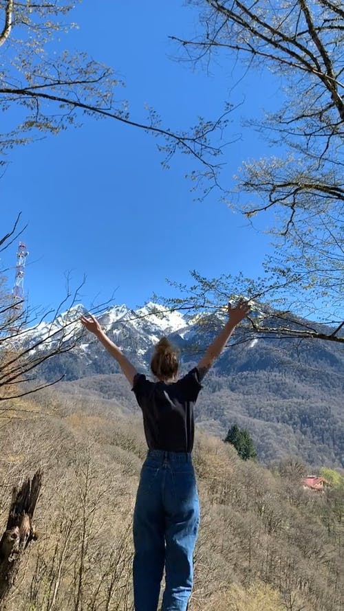 有关垂直视频, 天性, 女人的免费素材视频
