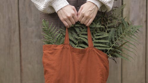 有关手, 握住, 树叶的免费素材视频