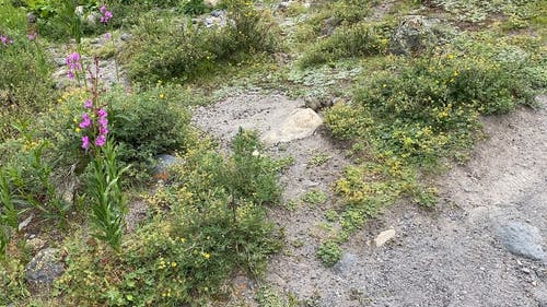 有关丘陵, 地形, 多云的天空的免费素材视频