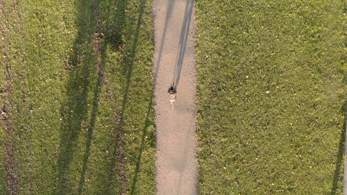 有关@户外, 下落, 以上的免费素材视频