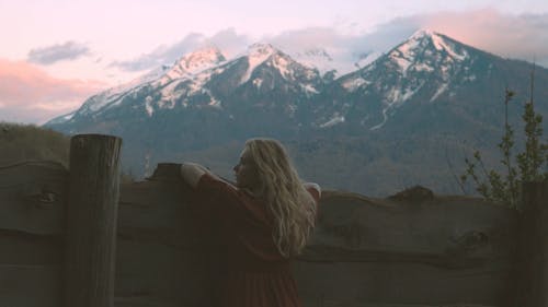 有关原本, 围栏, 天性的免费素材视频