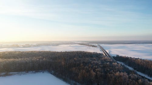 有关冬季, 冷, 景观的免费素材视频