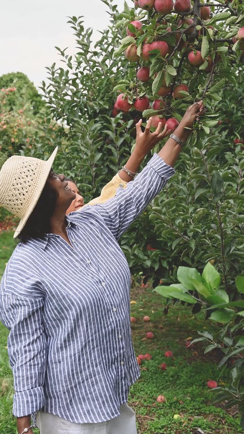 有关垂直视频, 太阳帽, 女孩的免费素材视频