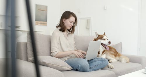 有关3C用品, 4k, 上网的免费素材视频