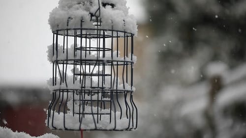 有关冬季, 冷, 冷冻的免费素材视频