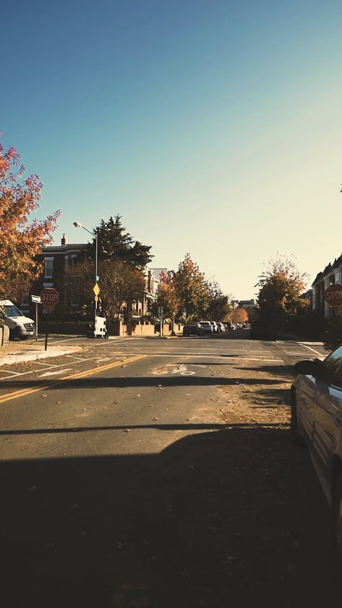 有关垂直拍摄, 垂直视频, 天空的免费素材视频